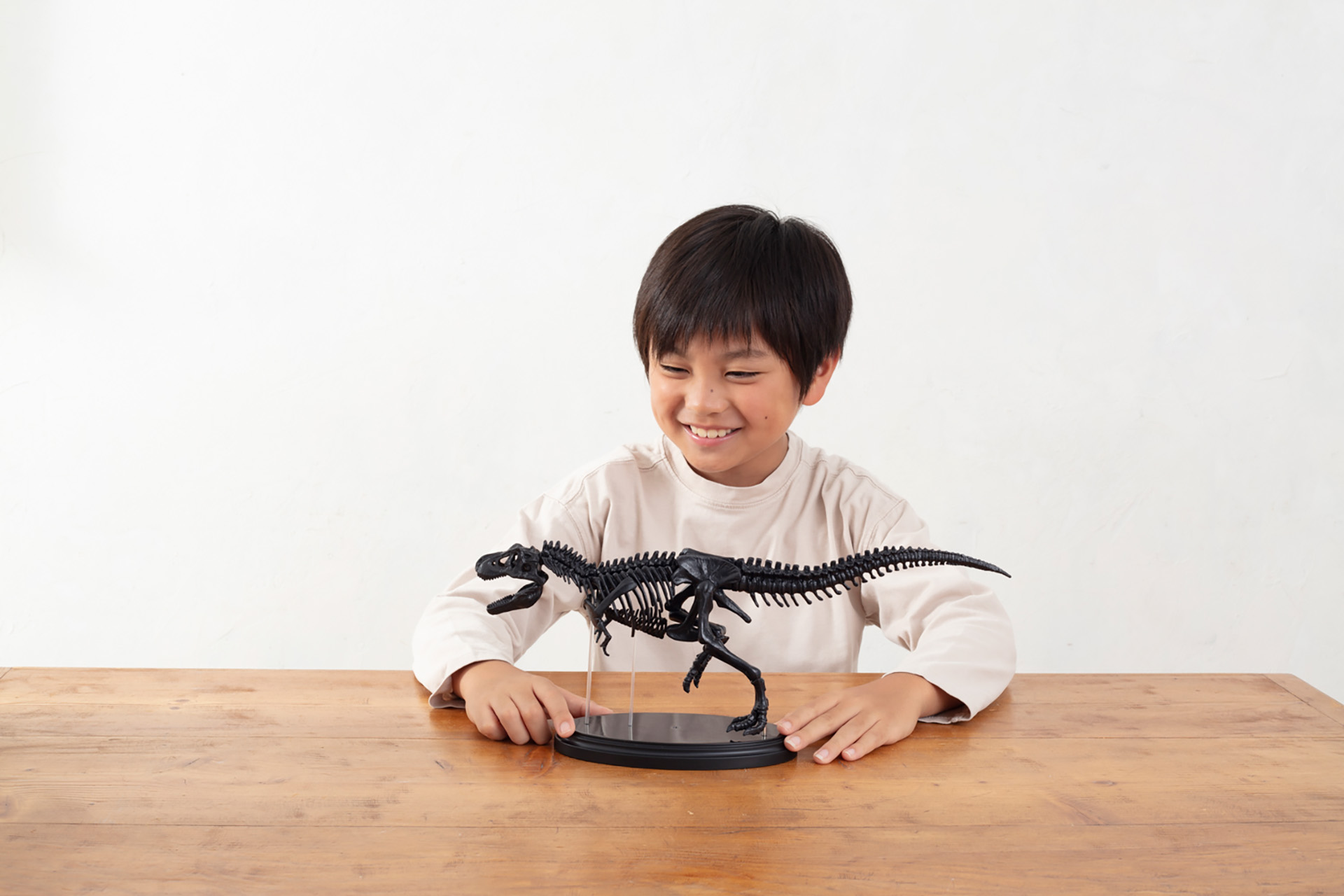 パーツを組み合わせると、全長約40cm、実物大の1/35スケールの本格的なティラノサウルス骨格模型が完成