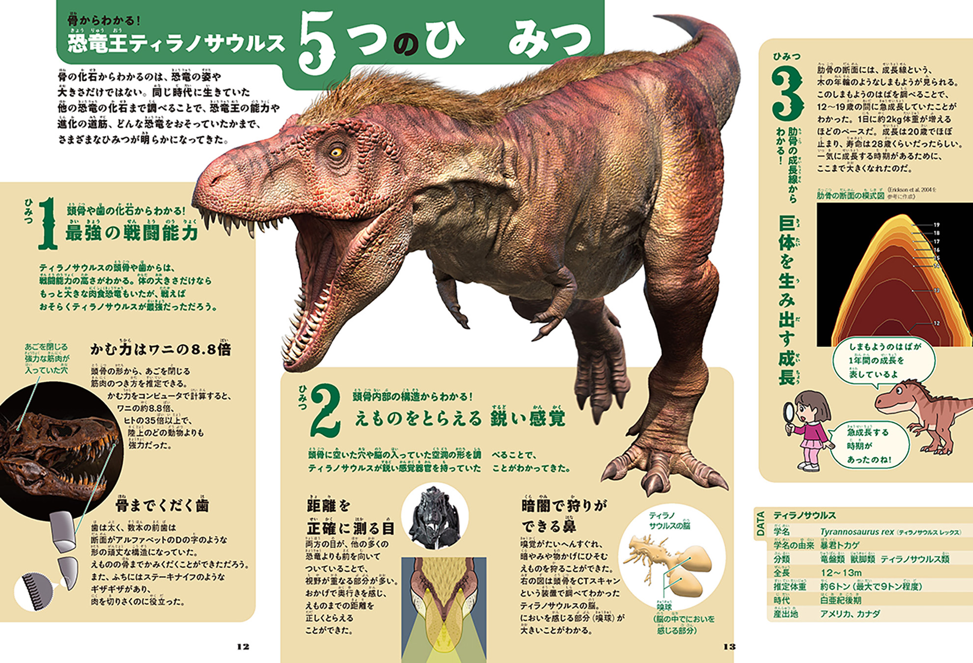 恐竜研究の第一人者である小林快次先生（北海道大学総合博物館教授）が監修した本格的なガイドブック
