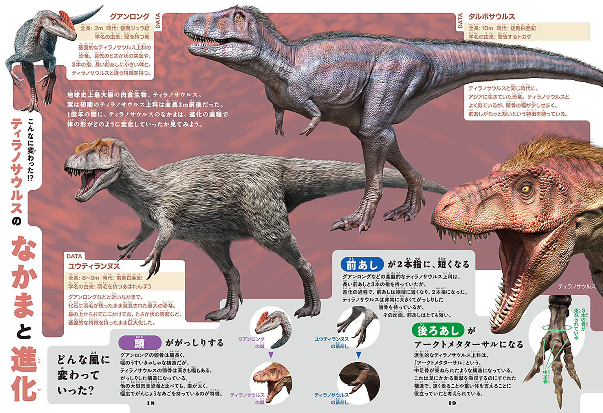 『学研の図鑑LIVE エクストリーム ティラノサウルス』の内容を一部収録。最新の研究も掲載しています