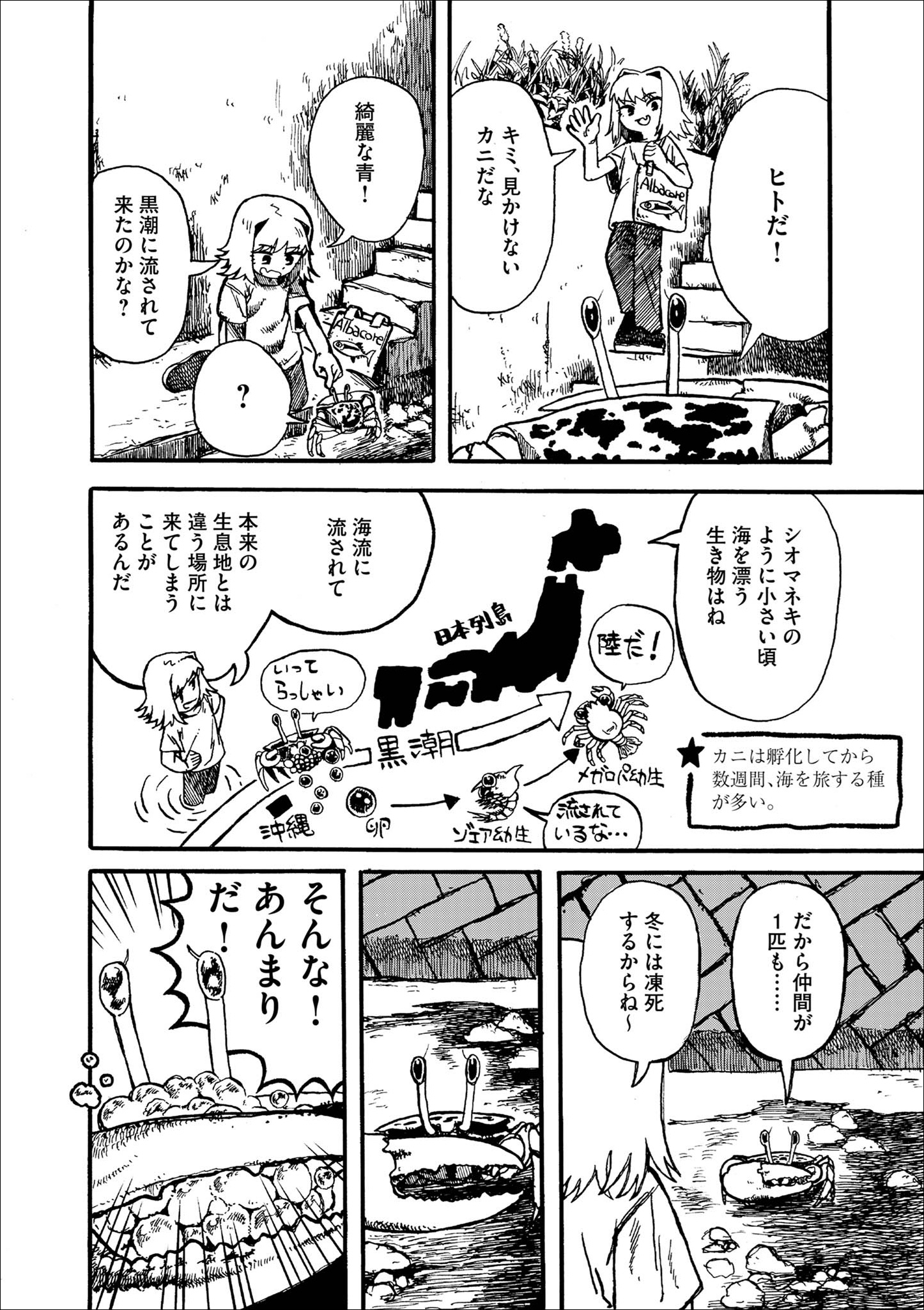故郷から遠く漂流したカニ