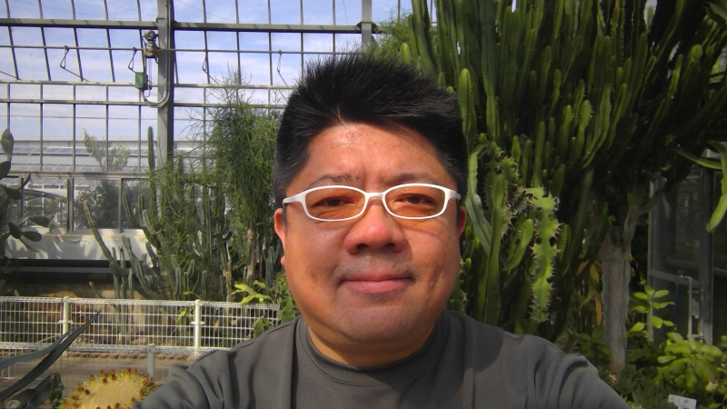 Surface Pro 4、背面カメラ(f/2、1/1,145秒、ISO-91)