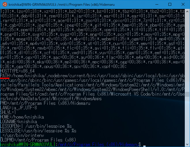 Windowsに設定しているPATHが自動的に入っている。カラー対応