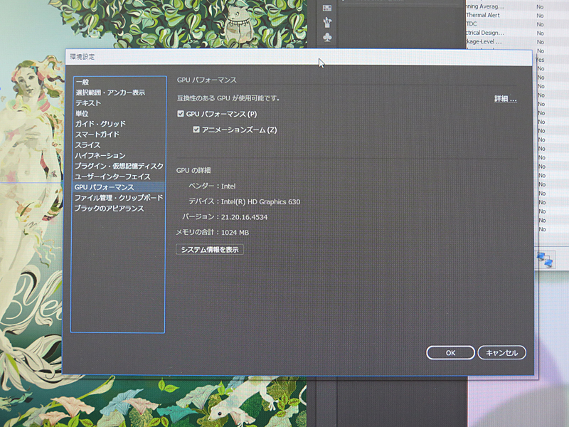 “GPUパフォーマンス”がGPUアクセラレーション機能。チェックを入れれば有効になる