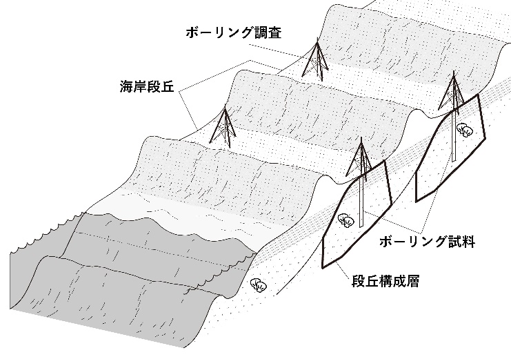 稠密ボーリング調査の概念図。それぞれの段丘面について複数箇所のボーリング(掘削)調査を行ない地下に埋没した段丘構成層から試料を採取