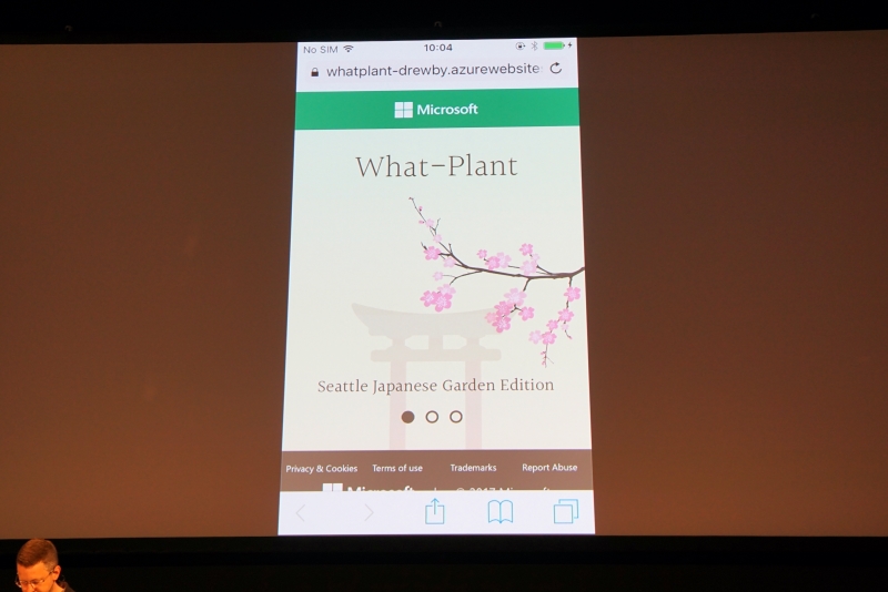 Azureに組み込まれた画像認識技術を使い、撮影した葉が「カエデの葉」であるとAIが回答