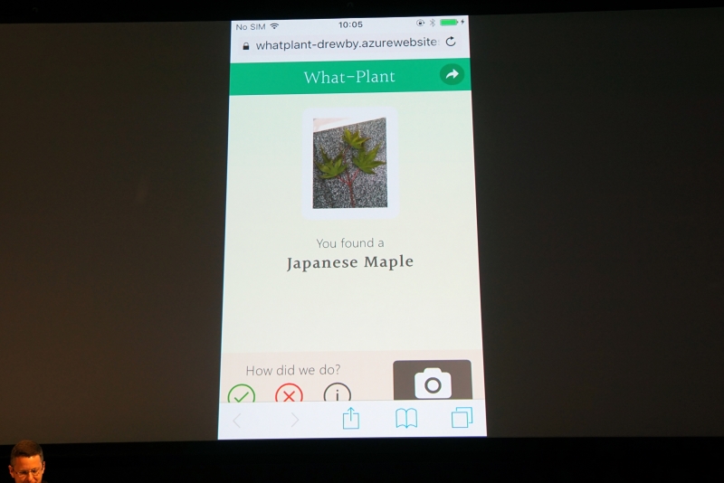 Azureに組み込まれた画像認識技術を使い、撮影した葉が「カエデの葉」であるとAIが回答