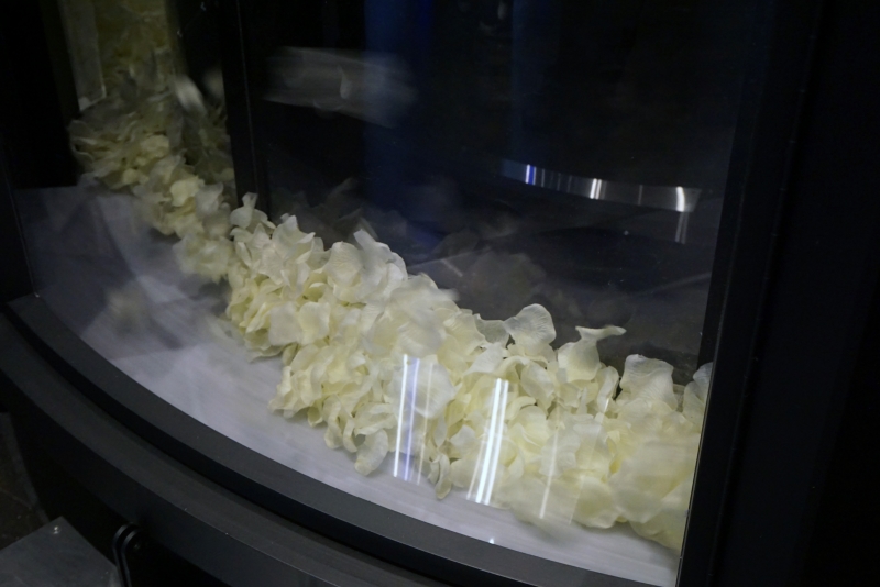 館内の説明では“雪”と言っているが、実物を見ると花びらだった