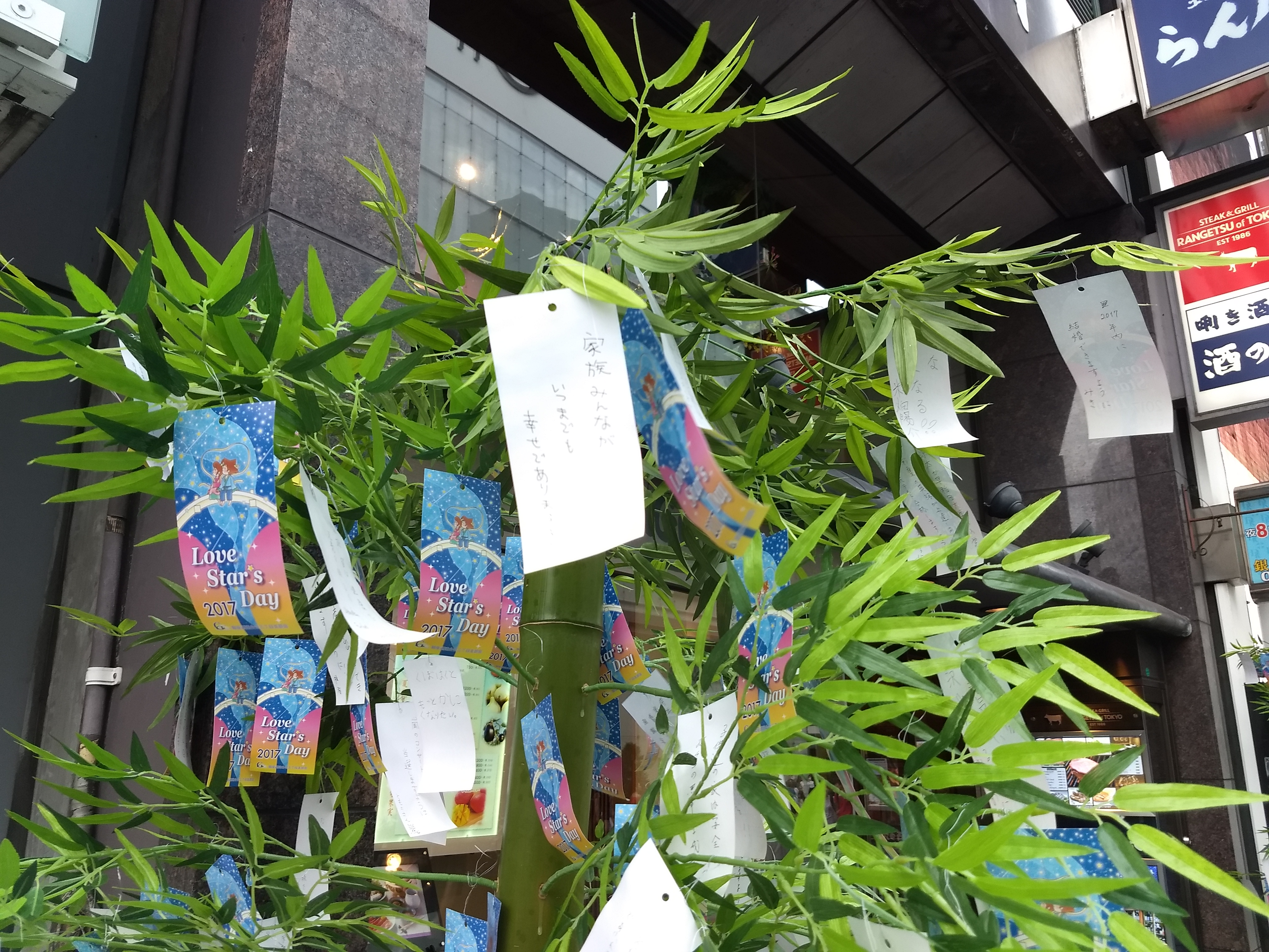 緑や青の色合いもなかなか綺麗に表現されている