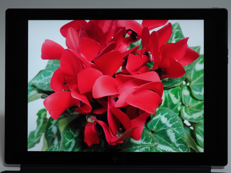 これは貸し出し機のデフォルトの発色。鮮やかさが際立っているが赤色がピンクがかって見える