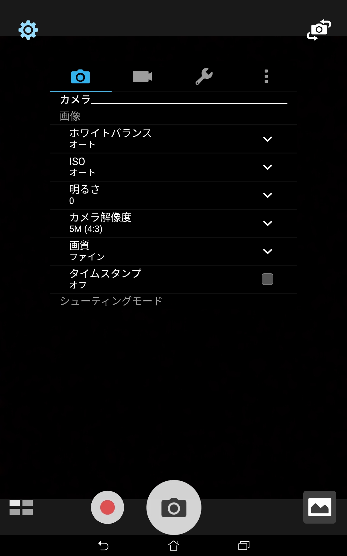 カメラ/設定/カメラ