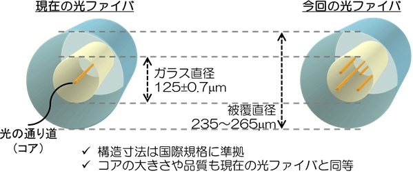 今回開発したマルチコア光ファイバ(右)