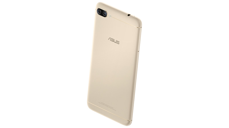 サンライトゴールドの背面