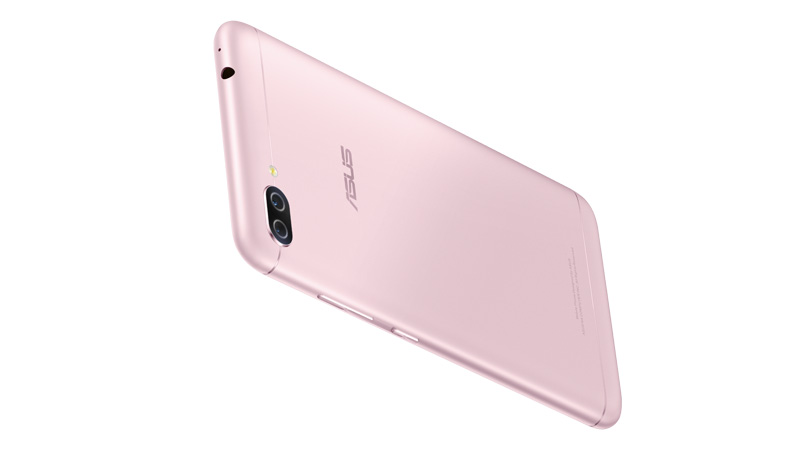 ローズピンクの背面