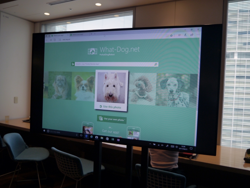 自分がどの犬に似ているかを表示する「what-dog.net」