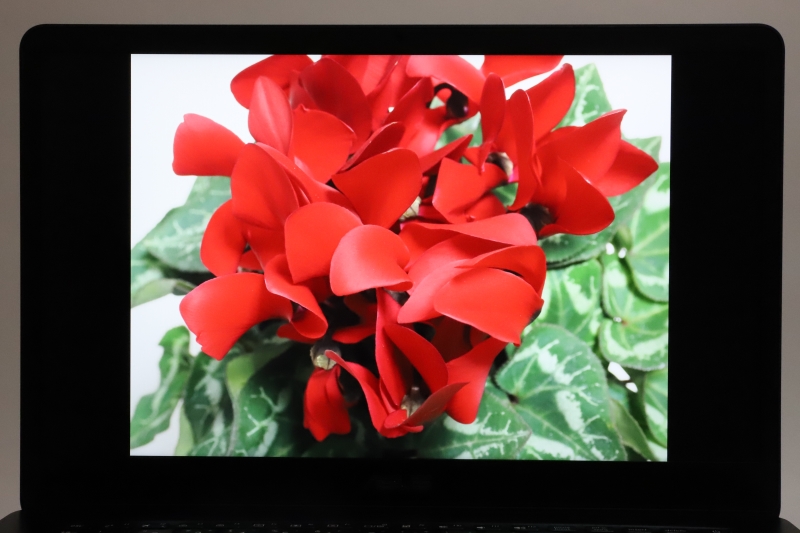 発色は素直で、とくに不自然な色調補正は見受けられなかった