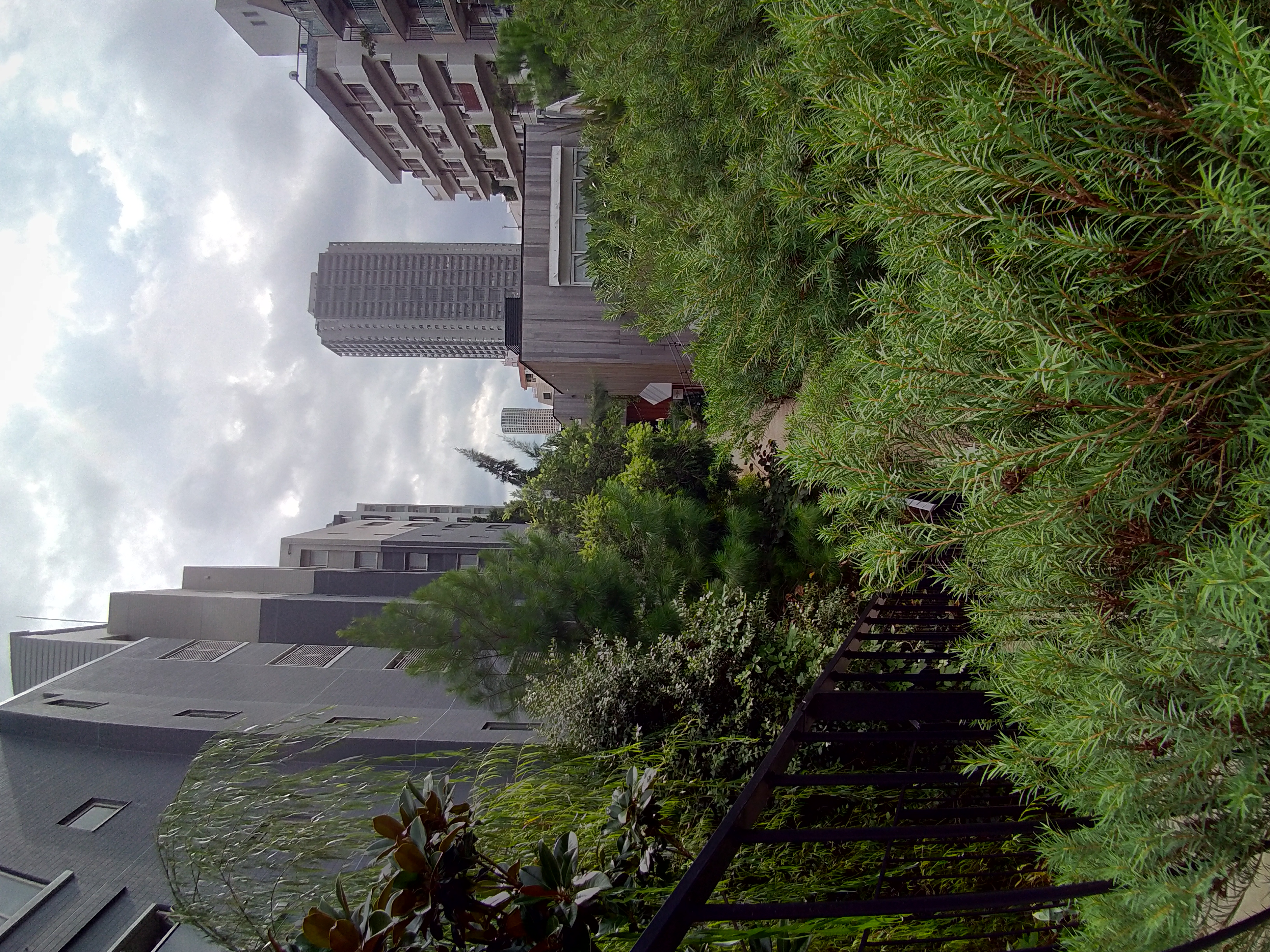 広角(f/2.2、2mm、8M/2,448×3,264ピクセル)