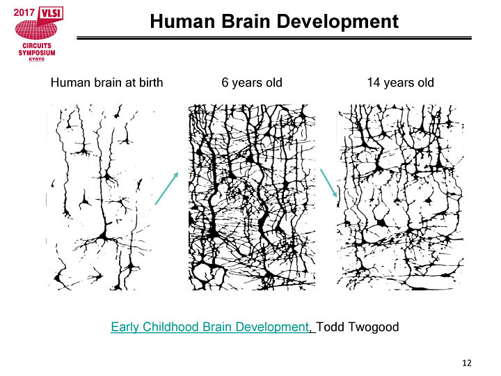 人間の脳におけるプルーニング。出典:「Deep Learning for Mobile and Embedded Devices」(Mickey Aleksic, Qualcomm, VLSI Symposium, 2017)