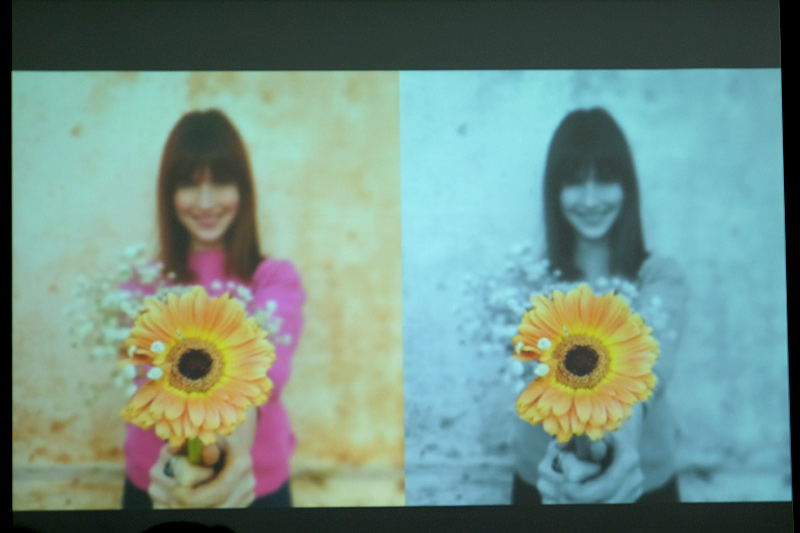 特定の色だけを抽出してモノクロに