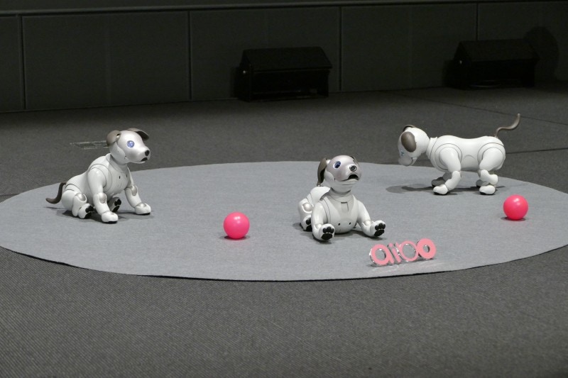 より犬らしいデザインになった