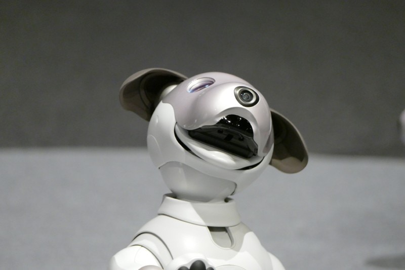 鼻部分が前方撮影用の魚眼カメラ