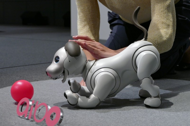 ボディランゲージで積極的に人に働きかける