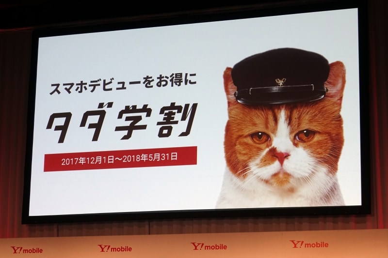 12月1日から学割プランを開始