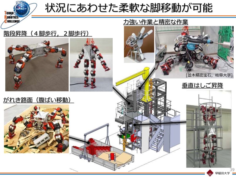 状況に合わせた移動形態・ロコモーションを取る