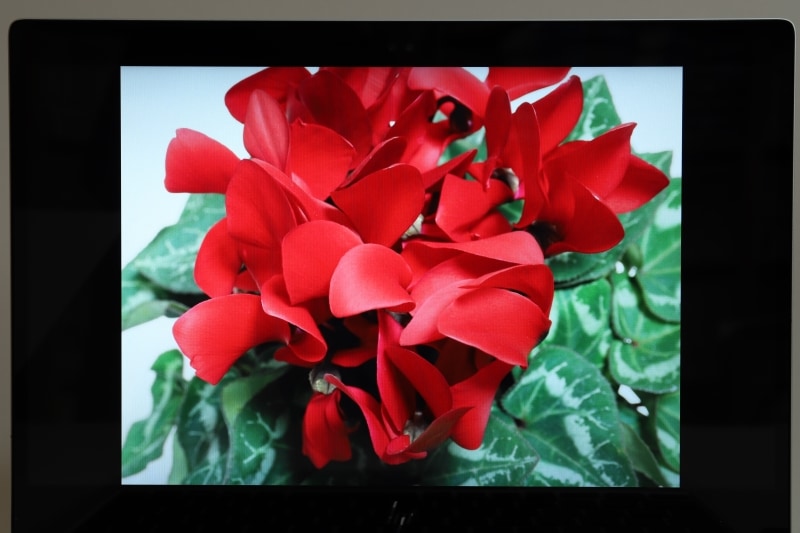 赤や緑があざやかにグラデーション豊かに表示されている。なお、モアレは実際には見えない