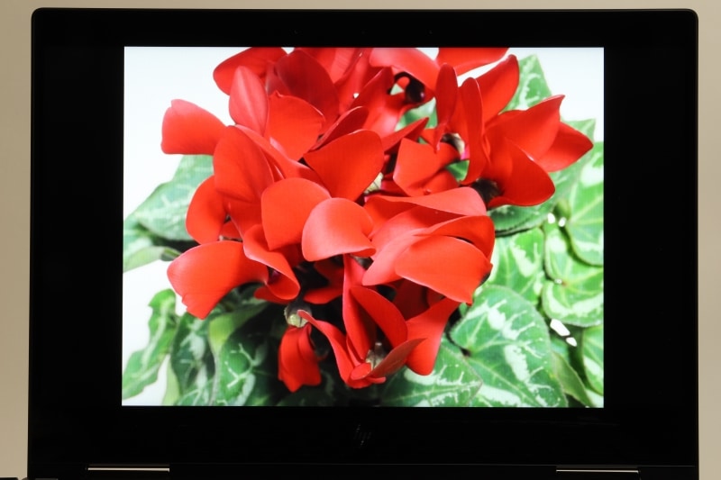 貸し出し機の色味はやや青みが強く感じられた