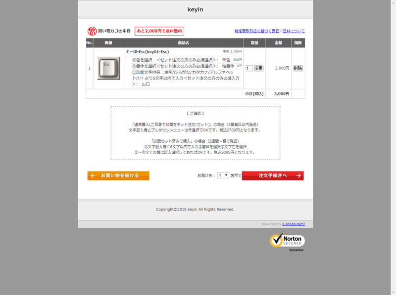 すべての選択が完了した状態。このあと購入者情報および決済情報を入力して注文完了。オーダーメイドのため到着までは数日かかる
