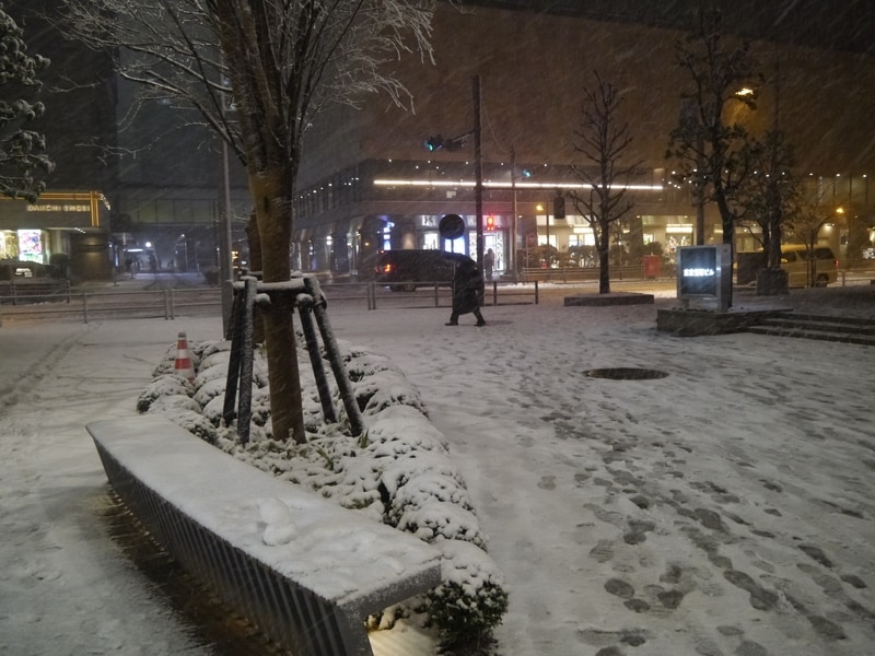 会場となった帝国ホテル前にも積雪。それにも関わらず約680人が参加した