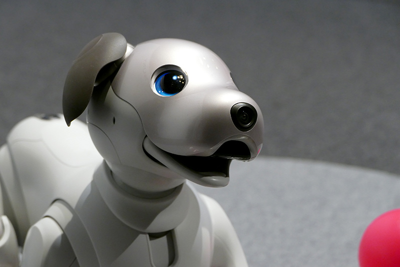 頭部にはミッチリ部品が詰まった