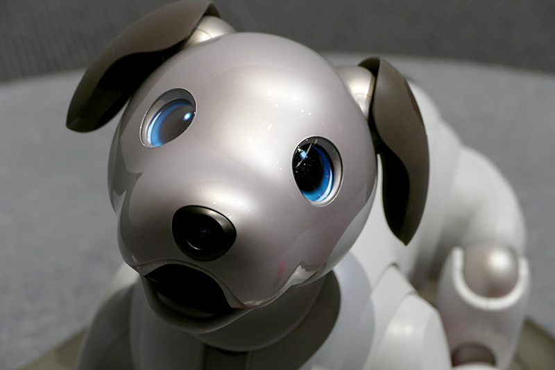 頭部にはミッチリ部品が詰まった