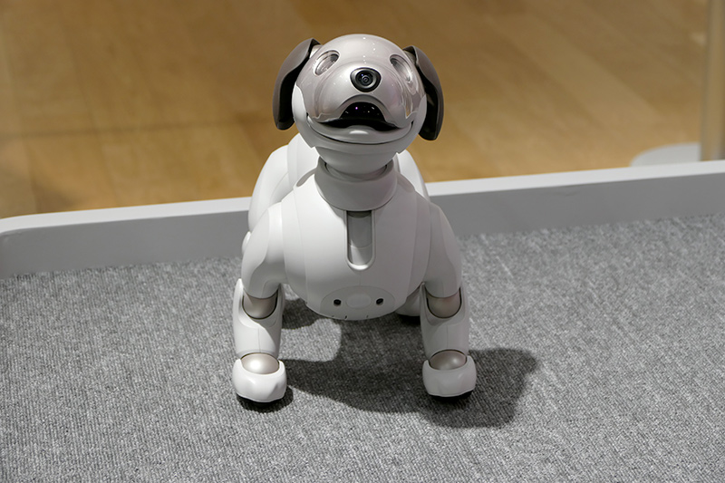 aiboのカメラは鼻先。口部分が距離を測るToFセンサー