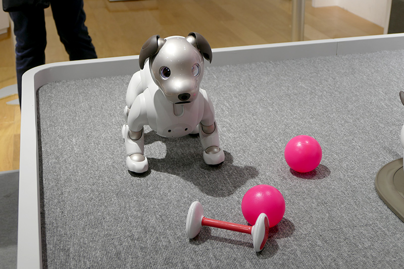 aiboが見ているものは専用おもちゃだけではない