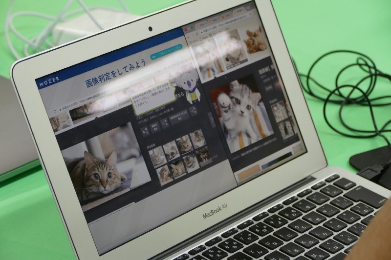 ネット上の画像を判定させる