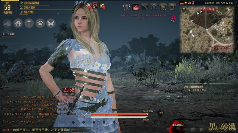 重い3Dグラフィックス処理で有名なオンラインRPGの代表、「黒い砂漠」。テクスチャ:Low グラフィックス設定:Very Lowで約20fps前後を維持できる