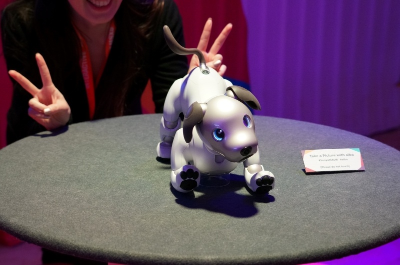 米国でもaiboが大人気だった