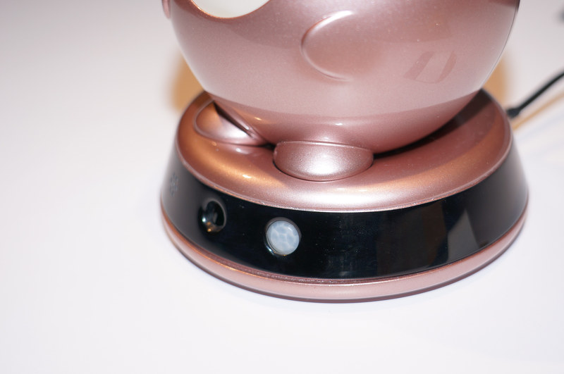 人感センサーとカメラが入っている