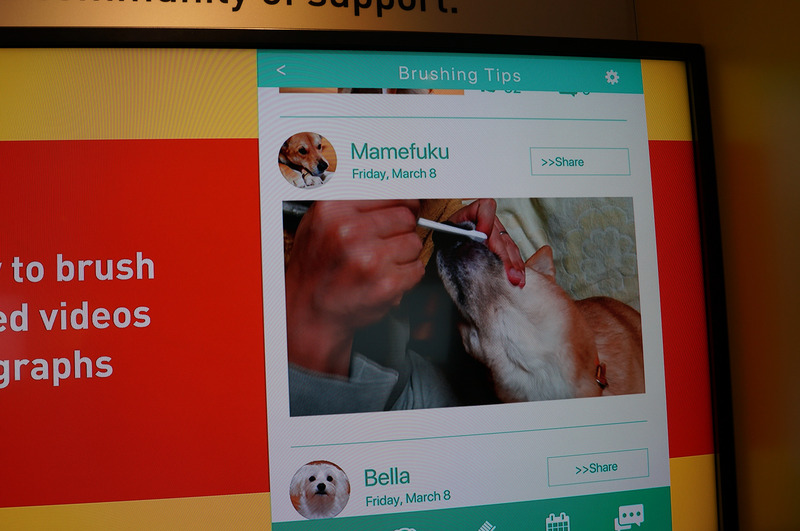 磨いている様子をSNSに投稿したりもできる