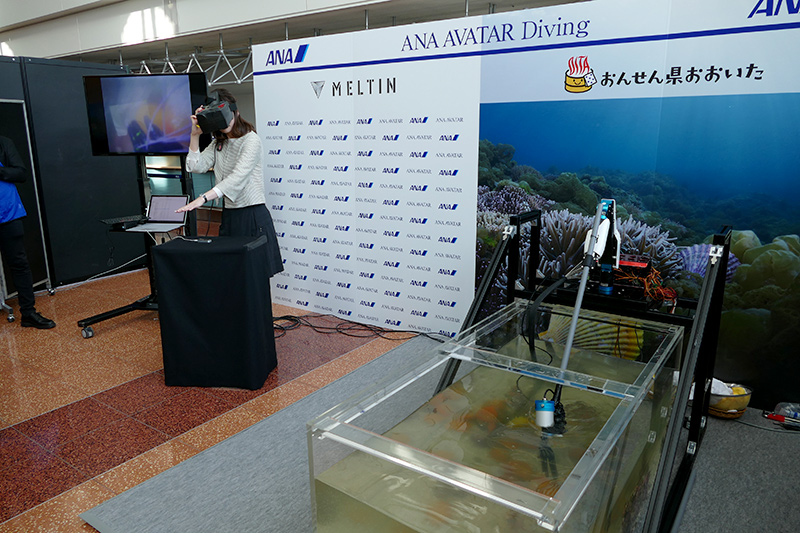 ANA AVATAR DIVING。