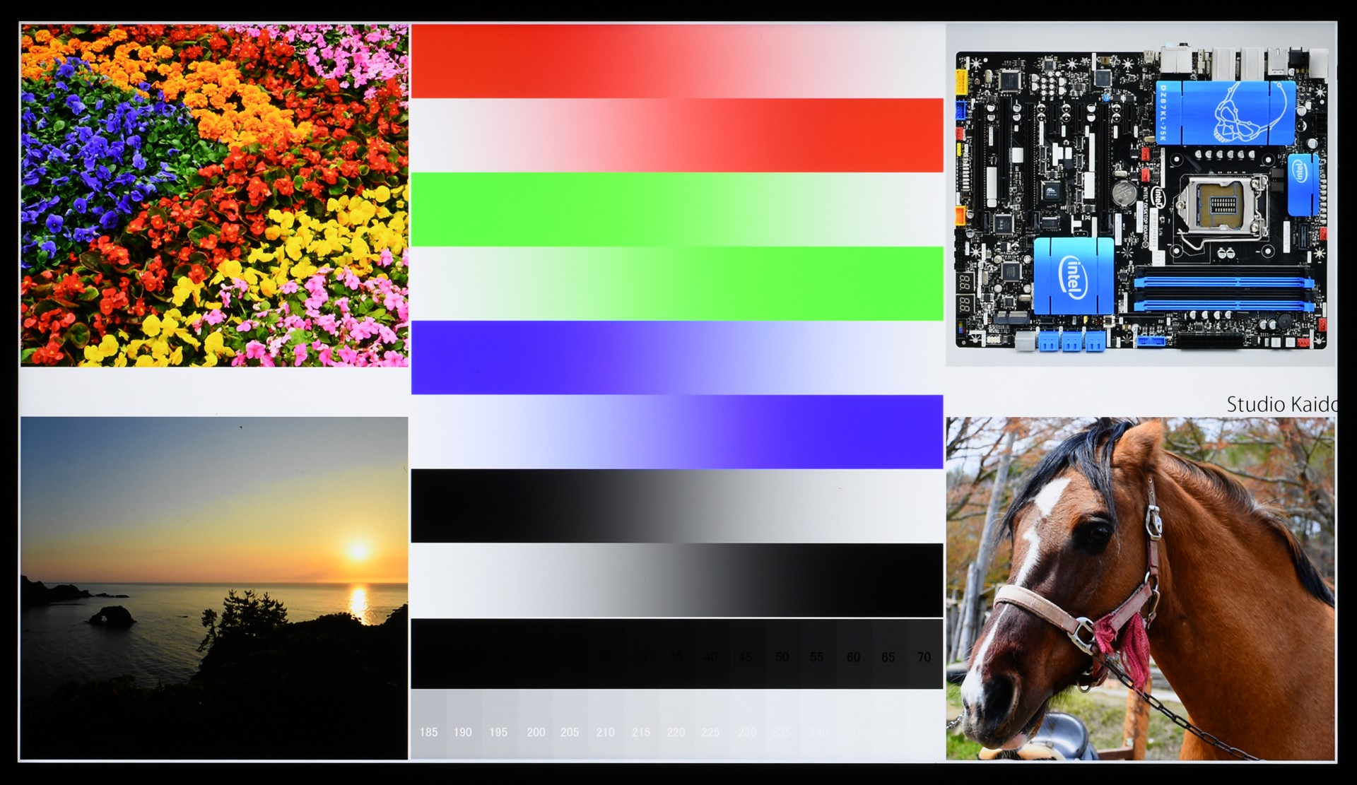 Razer Blade Stealth + Razer Core V2