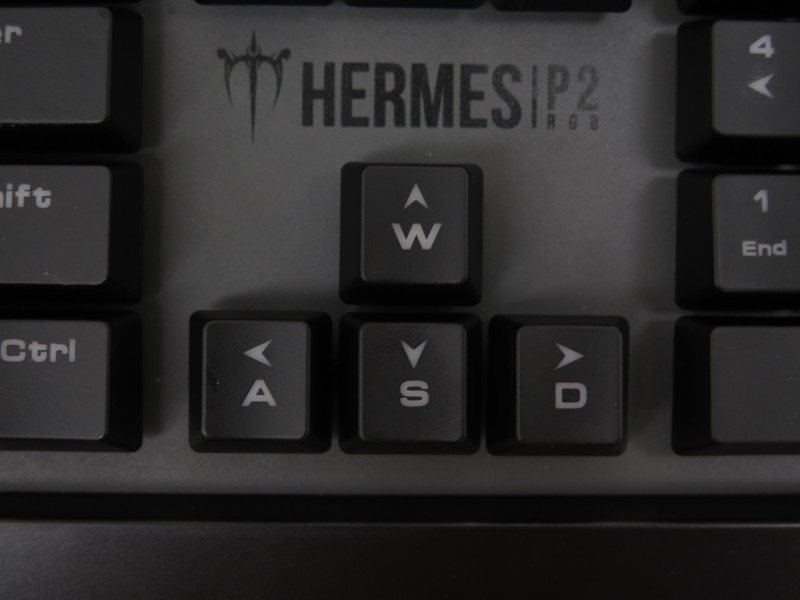 W/A/S/Dは矢印キーとスワップ可能