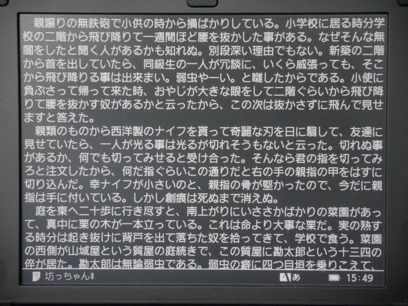 従来と同じく白黒反転表示にも対応する