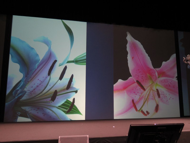 花を撮影したサンプル