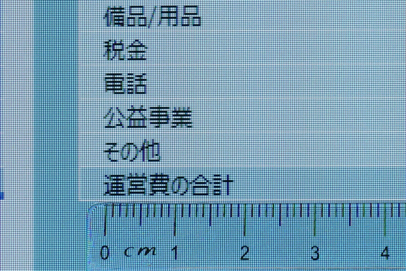 Excelでフォントサイズが11ポイントでも漢字は3mmほどの大きさとなり、視認性は抜群だ