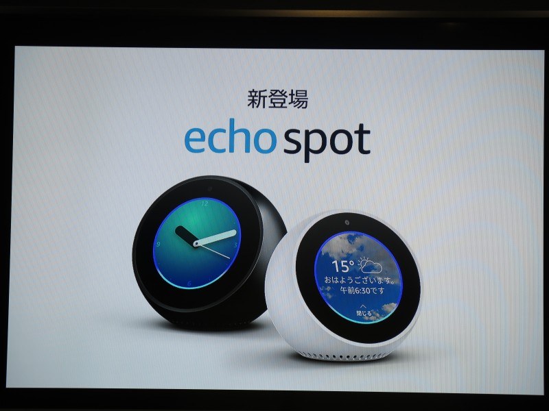 Echo Spot