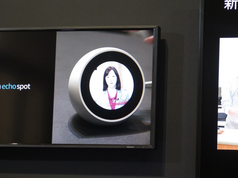 Echo Spotに対応した映像コンテンツも再生可能に