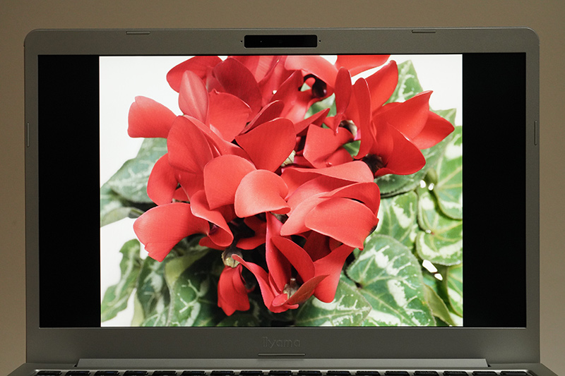 色が少し淡く感じられるが、基本的には素直な発色だ