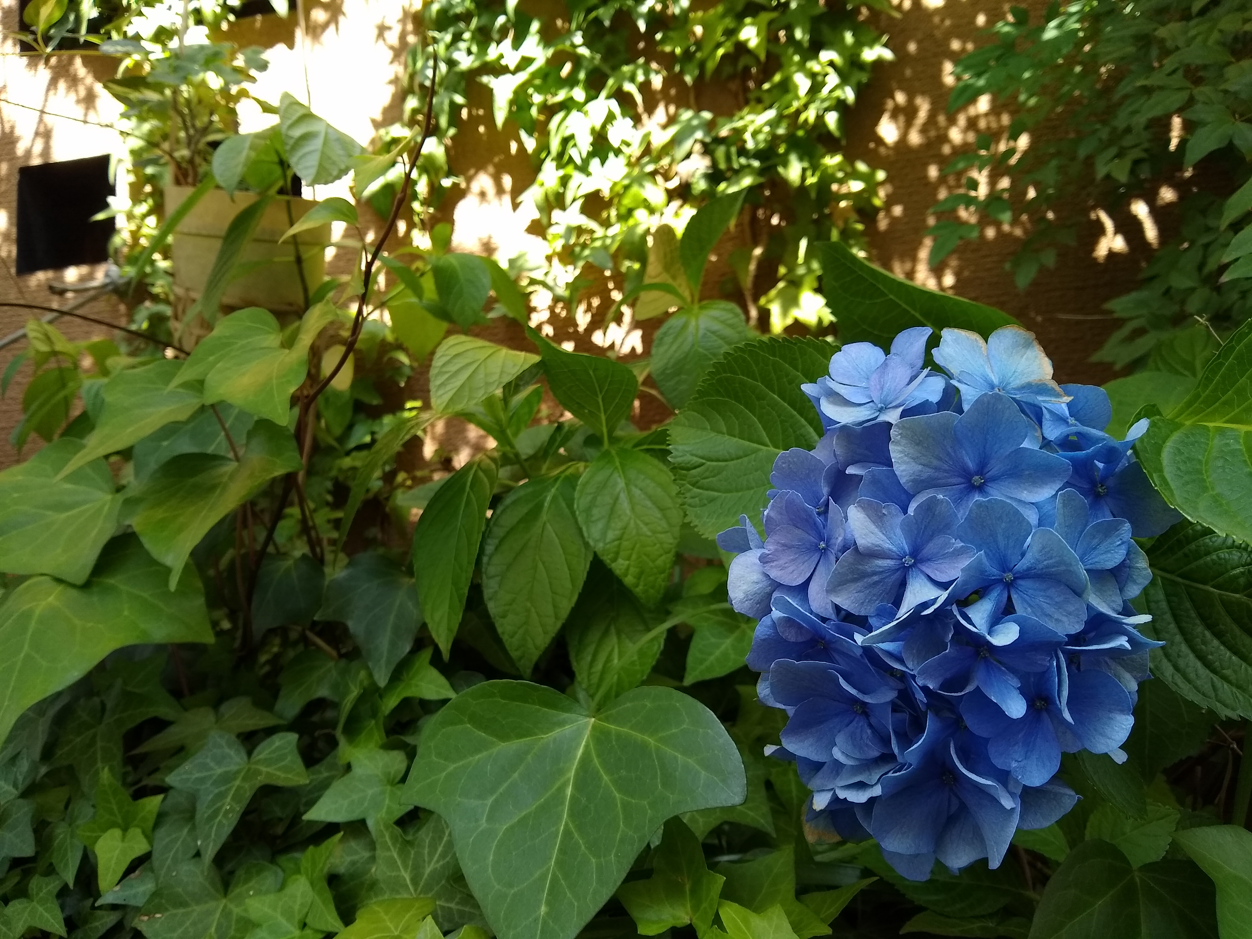 2線ボケが若干あるが、スナップでは気にならないだろう